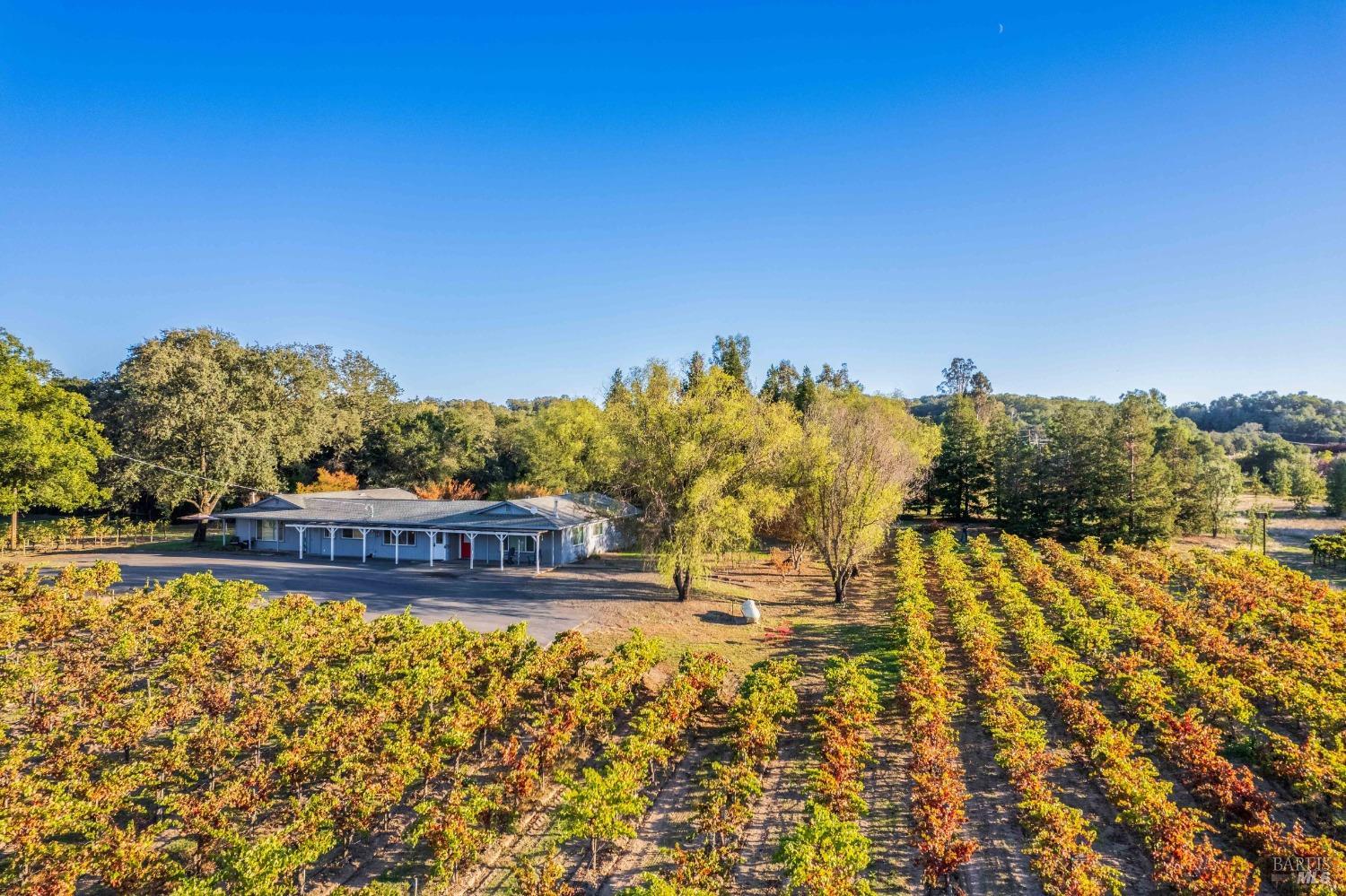 Detail Gallery Image 75 of 82 For 725 Lytton Station Rd, Healdsburg,  CA 95448 - – Beds | – Baths
