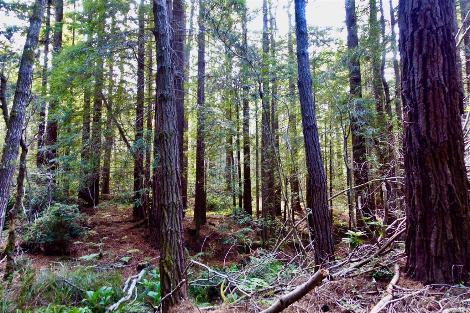 Detail Gallery Image 10 of 17 For Address Is Not Disclosed, Mendocino,  CA 95460 - – Beds | – Baths