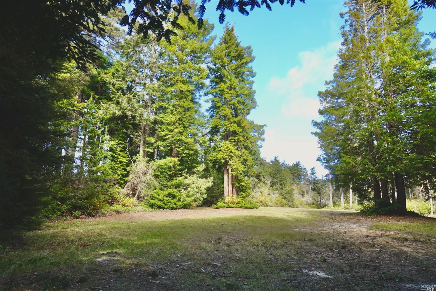 Detail Gallery Image 4 of 17 For Address Is Not Disclosed, Mendocino,  CA 95460 - – Beds | – Baths