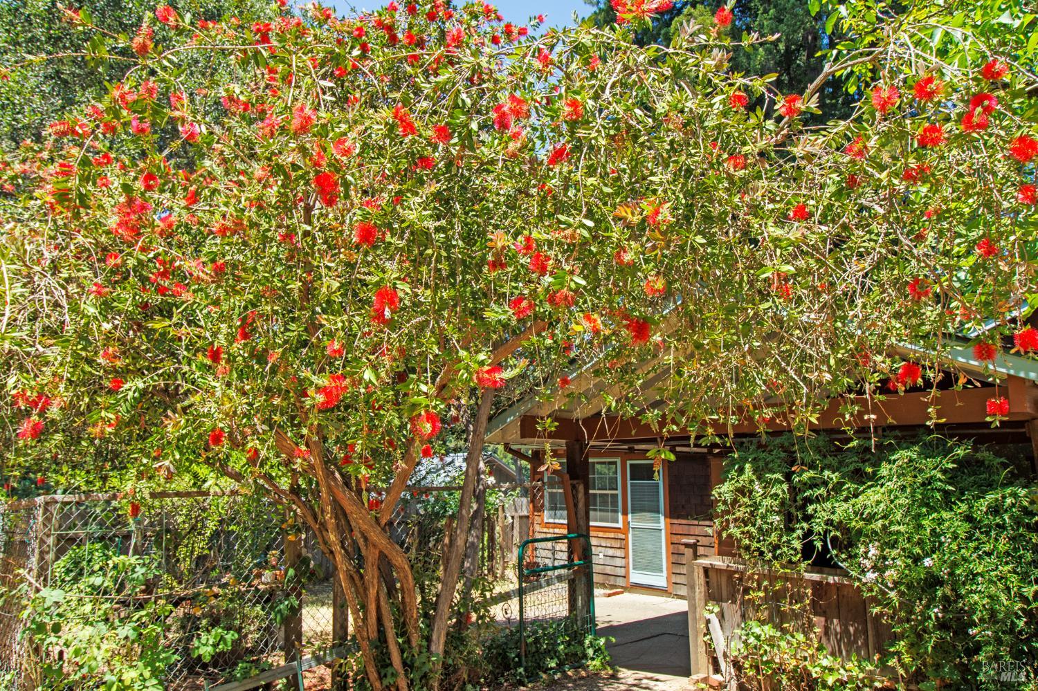 Detail Gallery Image 53 of 59 For 15866 Wright Dr, Guerneville,  CA 95446 - 3 Beds | 2 Baths