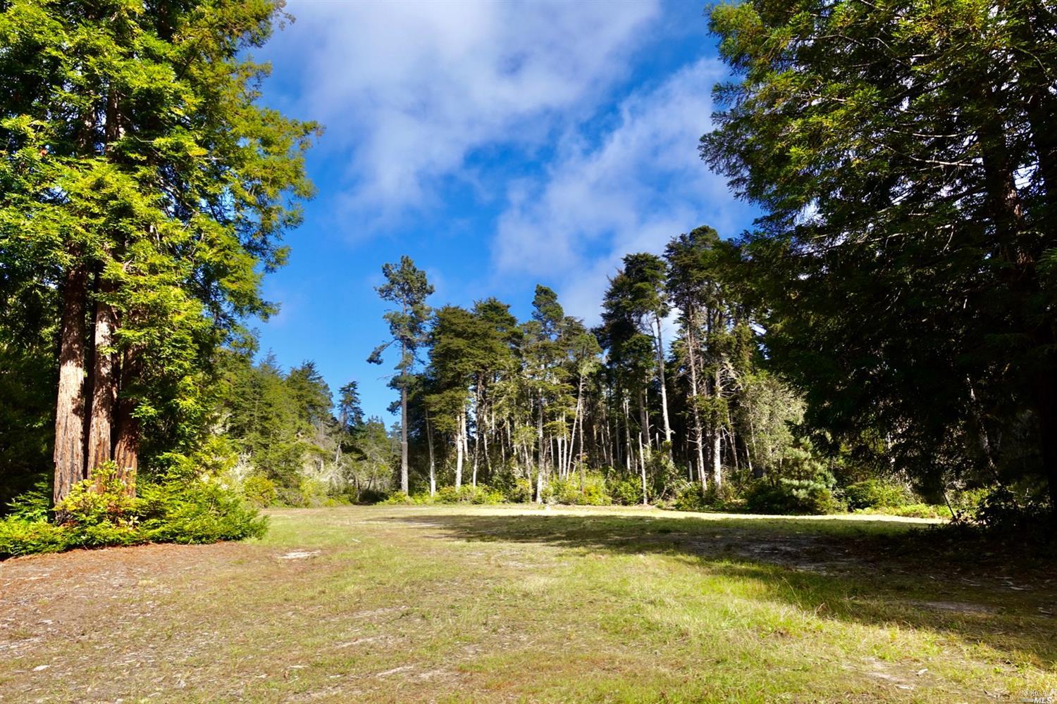 Detail Gallery Image 3 of 17 For Address Is Not Disclosed, Mendocino,  CA 95460 - – Beds | – Baths