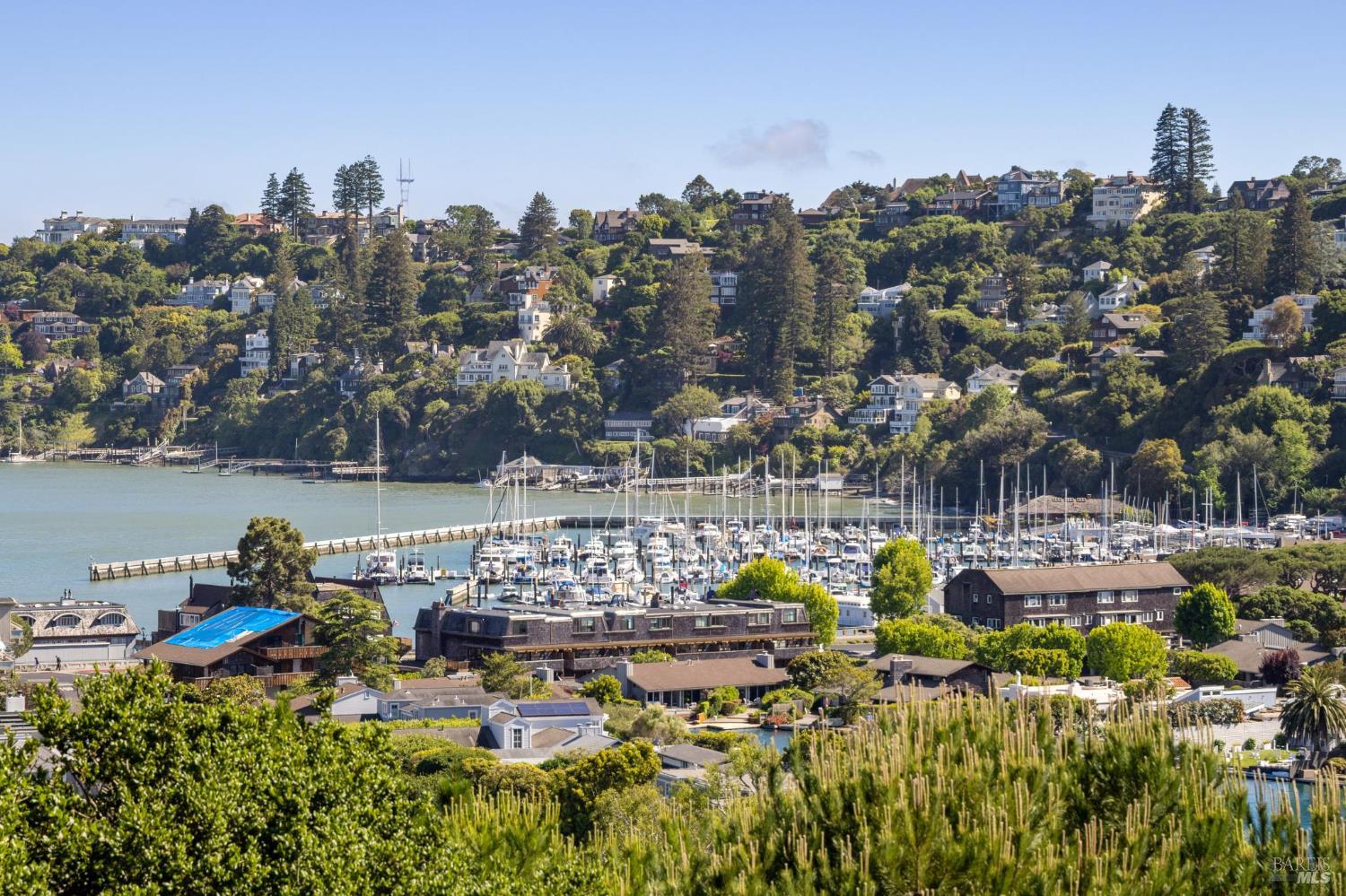 Detail Gallery Image 41 of 46 For 15 Harbor Oak Dr #12,  Tiburon,  CA 94920 - 2 Beds | 2 Baths
