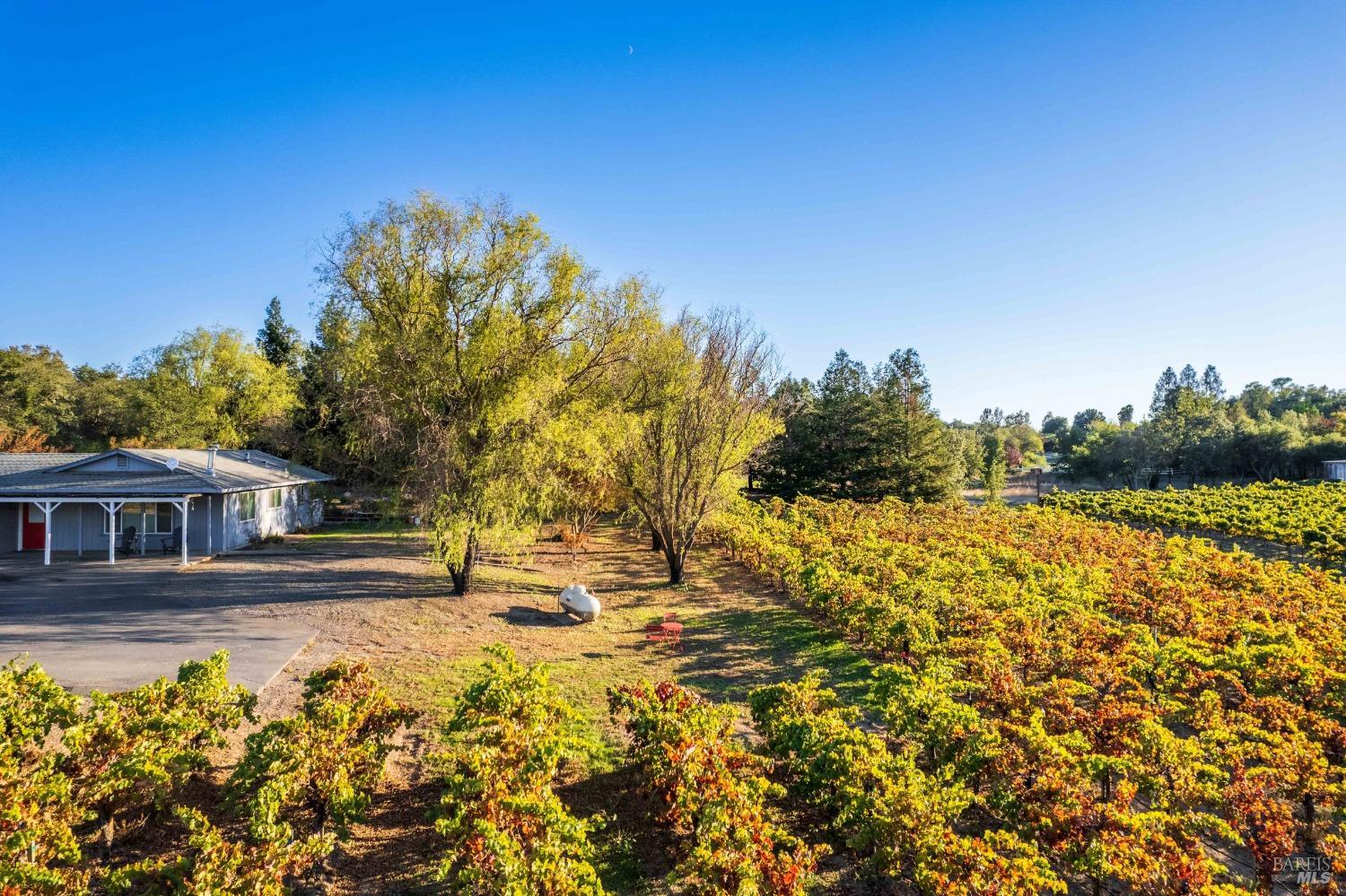 Detail Gallery Image 76 of 82 For 725 Lytton Station Rd, Healdsburg,  CA 95448 - – Beds | – Baths