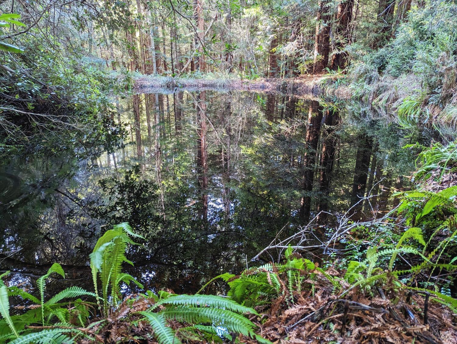 Detail Gallery Image 15 of 17 For Address Is Not Disclosed, Mendocino,  CA 95460 - – Beds | – Baths