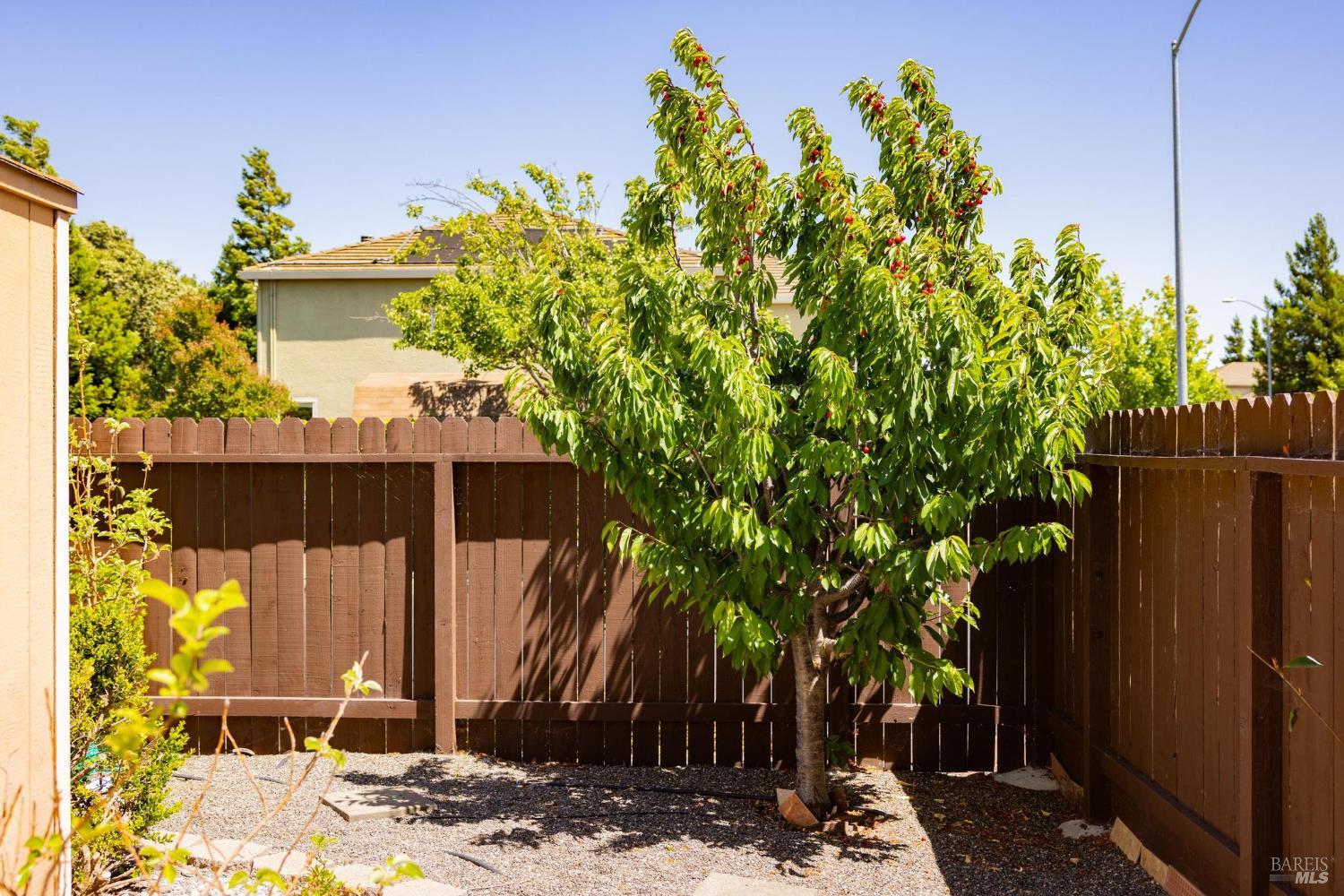 Detail Gallery Image 51 of 64 For 1101 Wildplum Ct, Vacaville,  CA 95687 - 6 Beds | 3 Baths