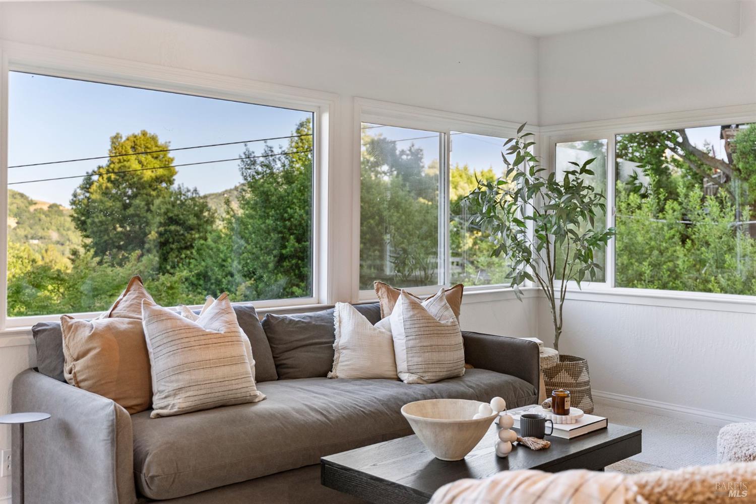 Detail Gallery Image 10 of 41 For 294 Scenic Rd, Fairfax,  CA 94930 - 2 Beds | 1/1 Baths