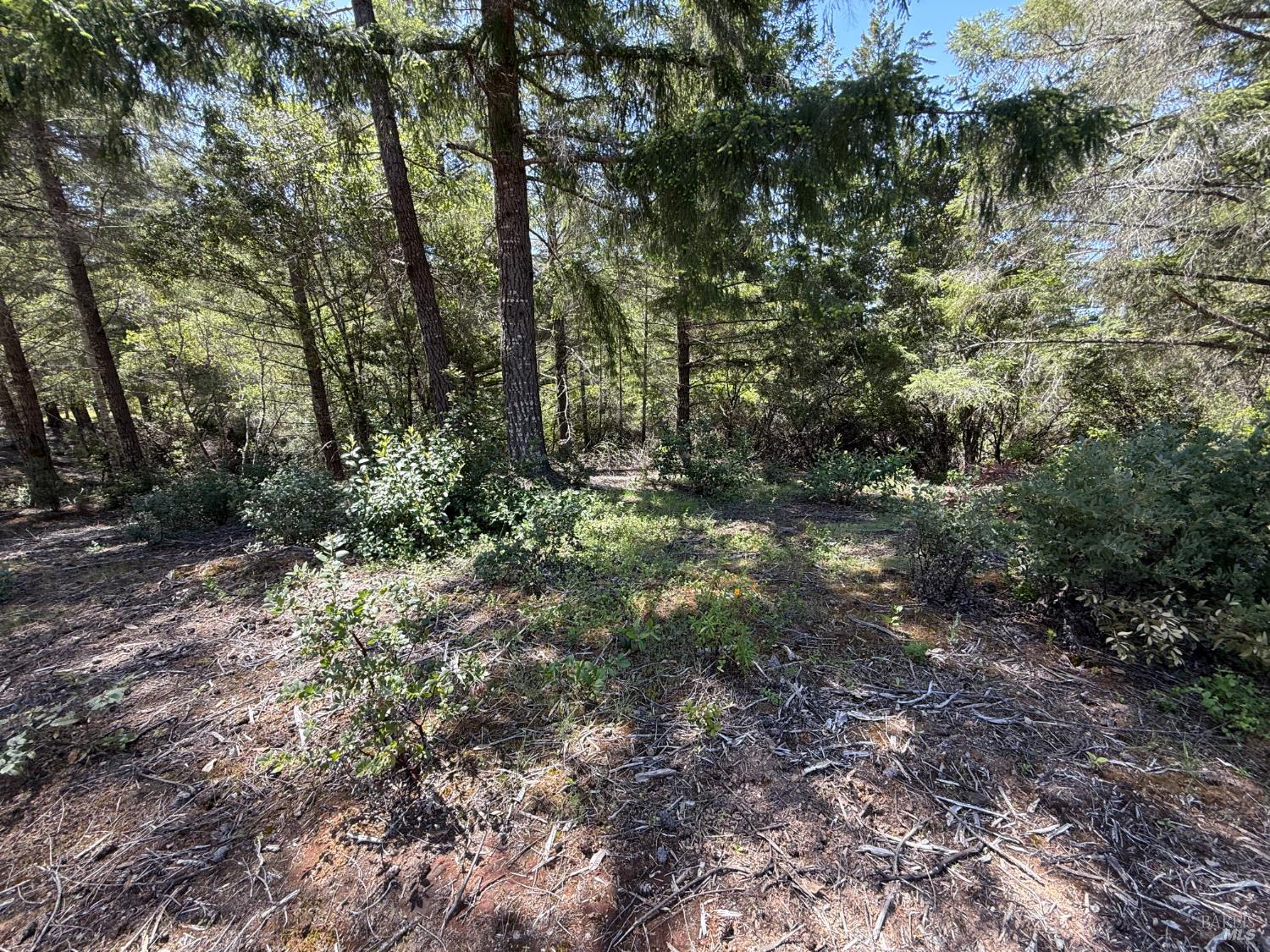 Detail Gallery Image 5 of 10 For 0 Moore Homestead Rd, Philo,  CA 95466 - – Beds | – Baths