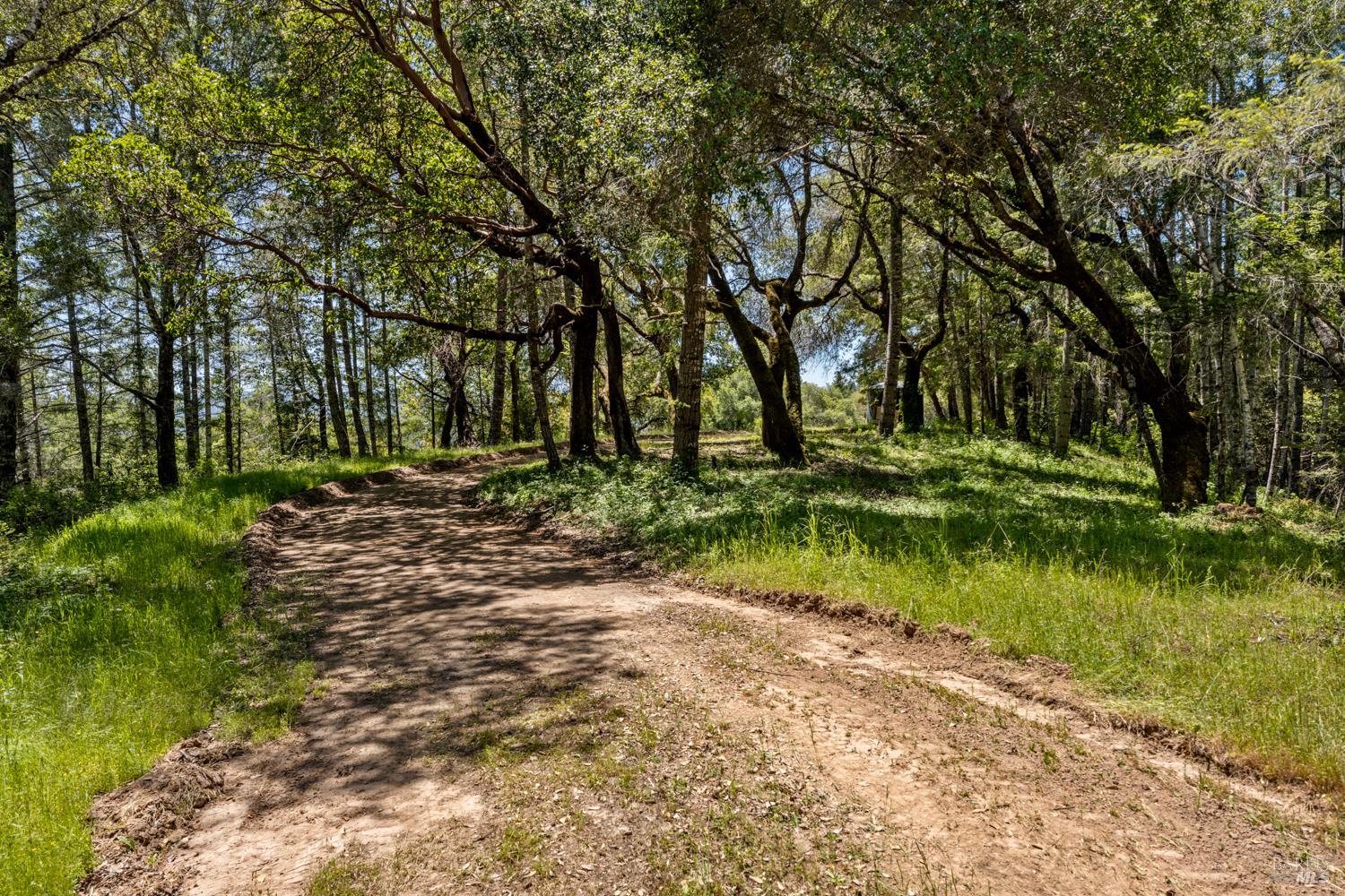 Detail Gallery Image 6 of 19 For 4131 Little Mill Creek Rd, Philo,  CA 95466 - – Beds | – Baths