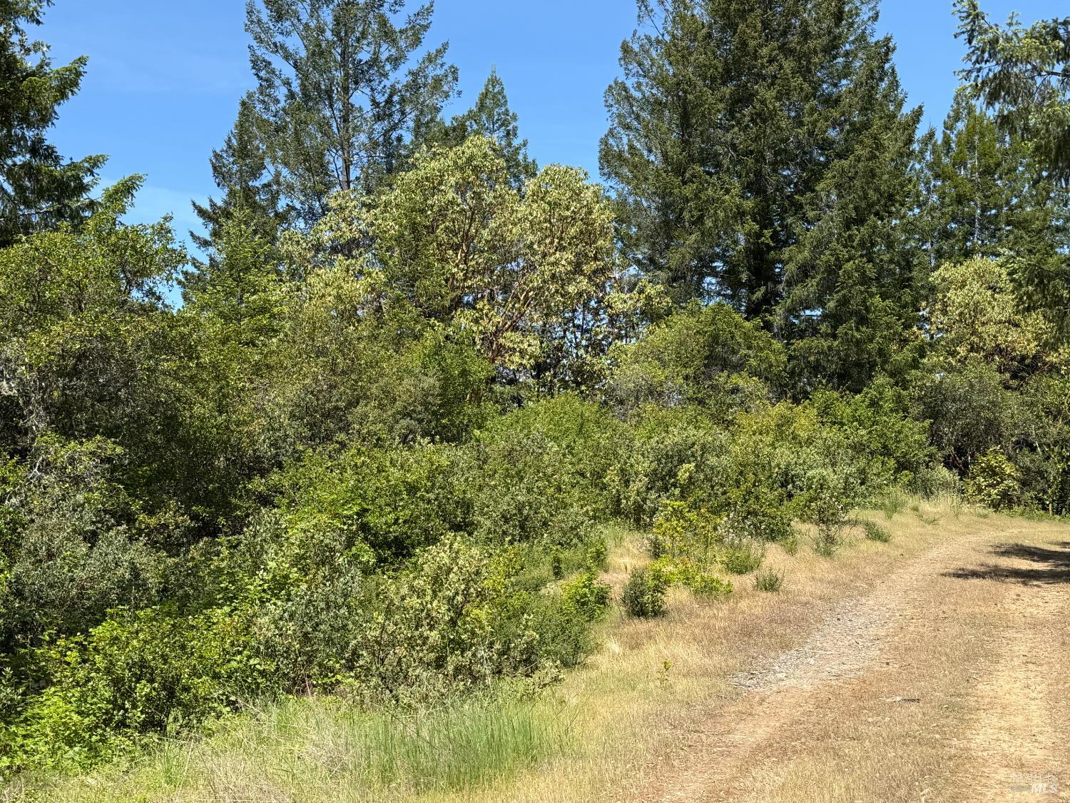 Detail Gallery Image 8 of 10 For 0 Moore Homestead Rd, Philo,  CA 95466 - – Beds | – Baths