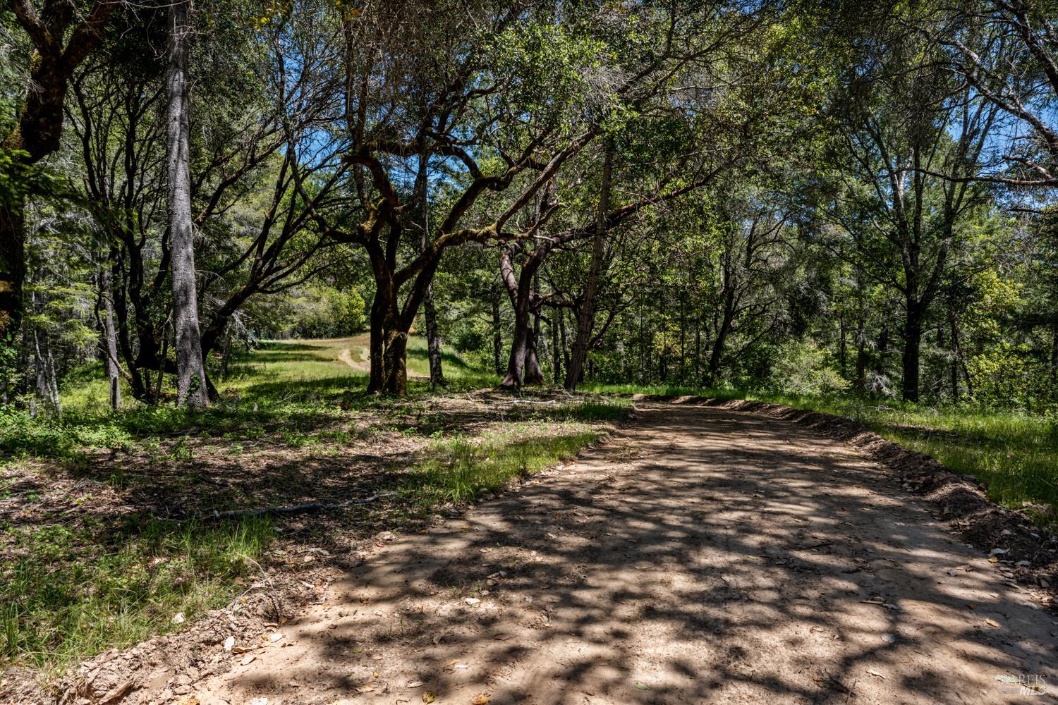 Detail Gallery Image 5 of 19 For 4131 Little Mill Creek Rd, Philo,  CA 95466 - – Beds | – Baths
