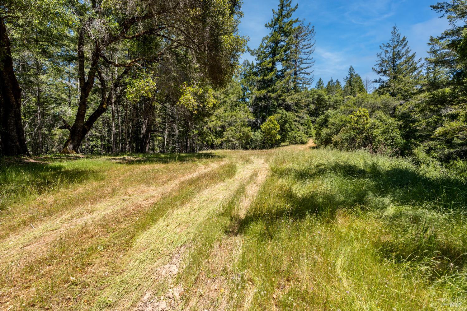Detail Gallery Image 1 of 19 For 4131 Little Mill Creek Rd, Philo,  CA 95466 - – Beds | – Baths