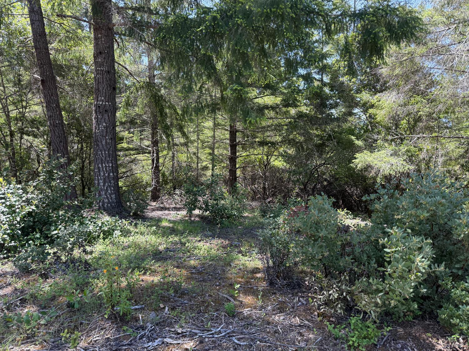 Detail Gallery Image 2 of 10 For 0 Moore Homestead Rd, Philo,  CA 95466 - – Beds | – Baths