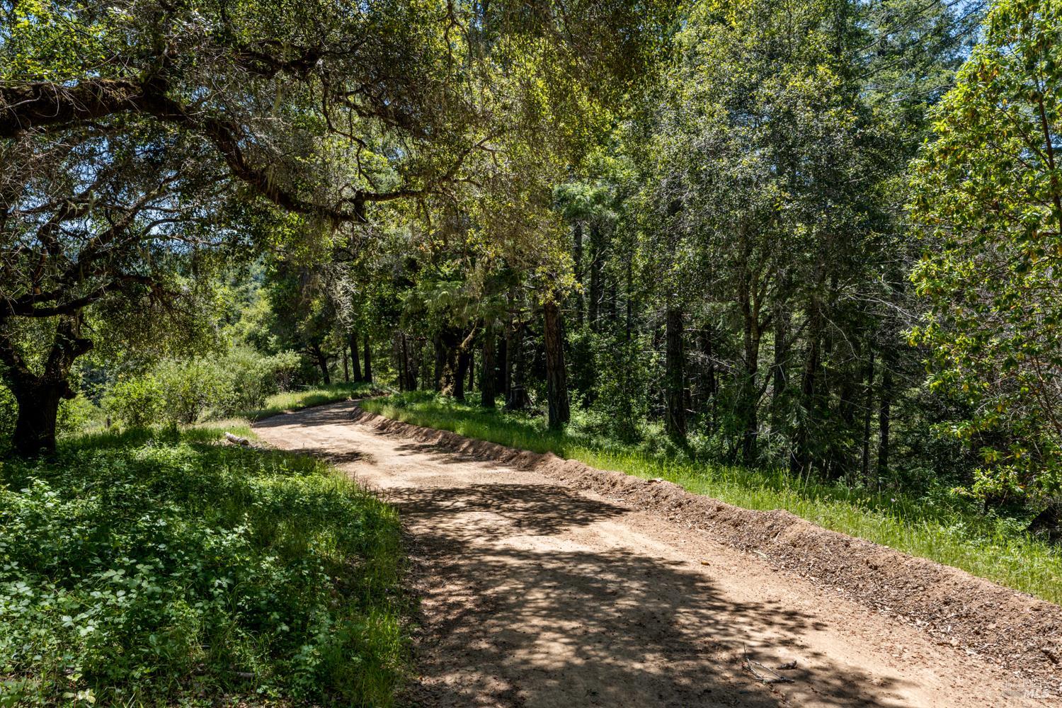 Detail Gallery Image 9 of 19 For 4131 Little Mill Creek Rd, Philo,  CA 95466 - – Beds | – Baths
