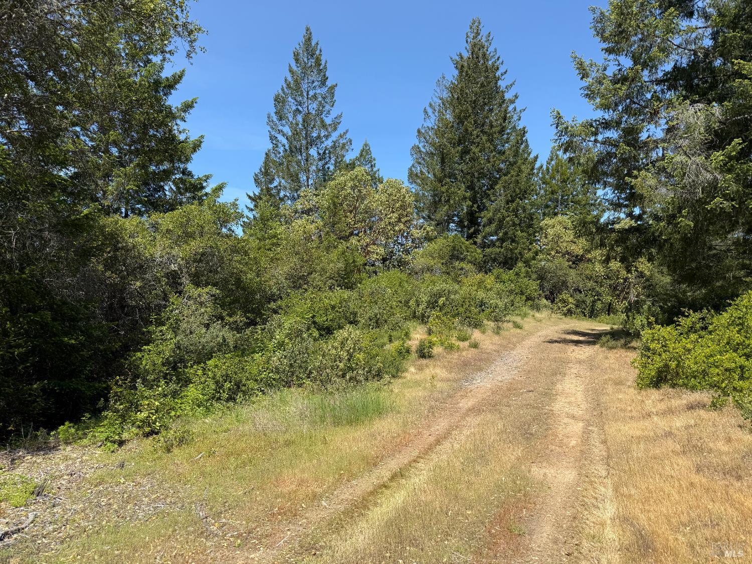 Detail Gallery Image 7 of 10 For 0 Moore Homestead Rd, Philo,  CA 95466 - – Beds | – Baths