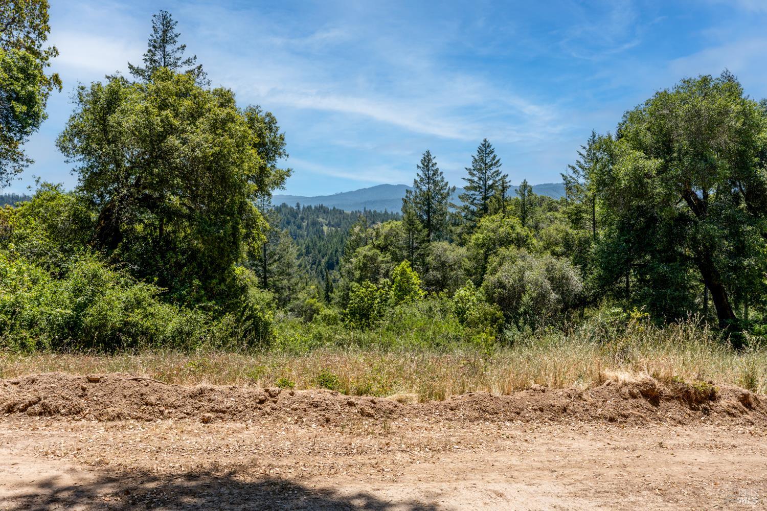 Detail Gallery Image 3 of 19 For 4131 Little Mill Creek Rd, Philo,  CA 95466 - – Beds | – Baths