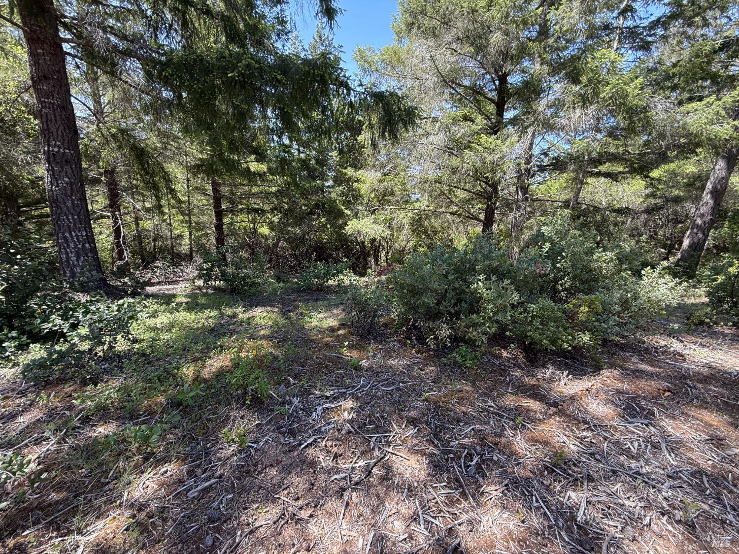 Detail Gallery Image 4 of 10 For 0 Moore Homestead Rd, Philo,  CA 95466 - – Beds | – Baths