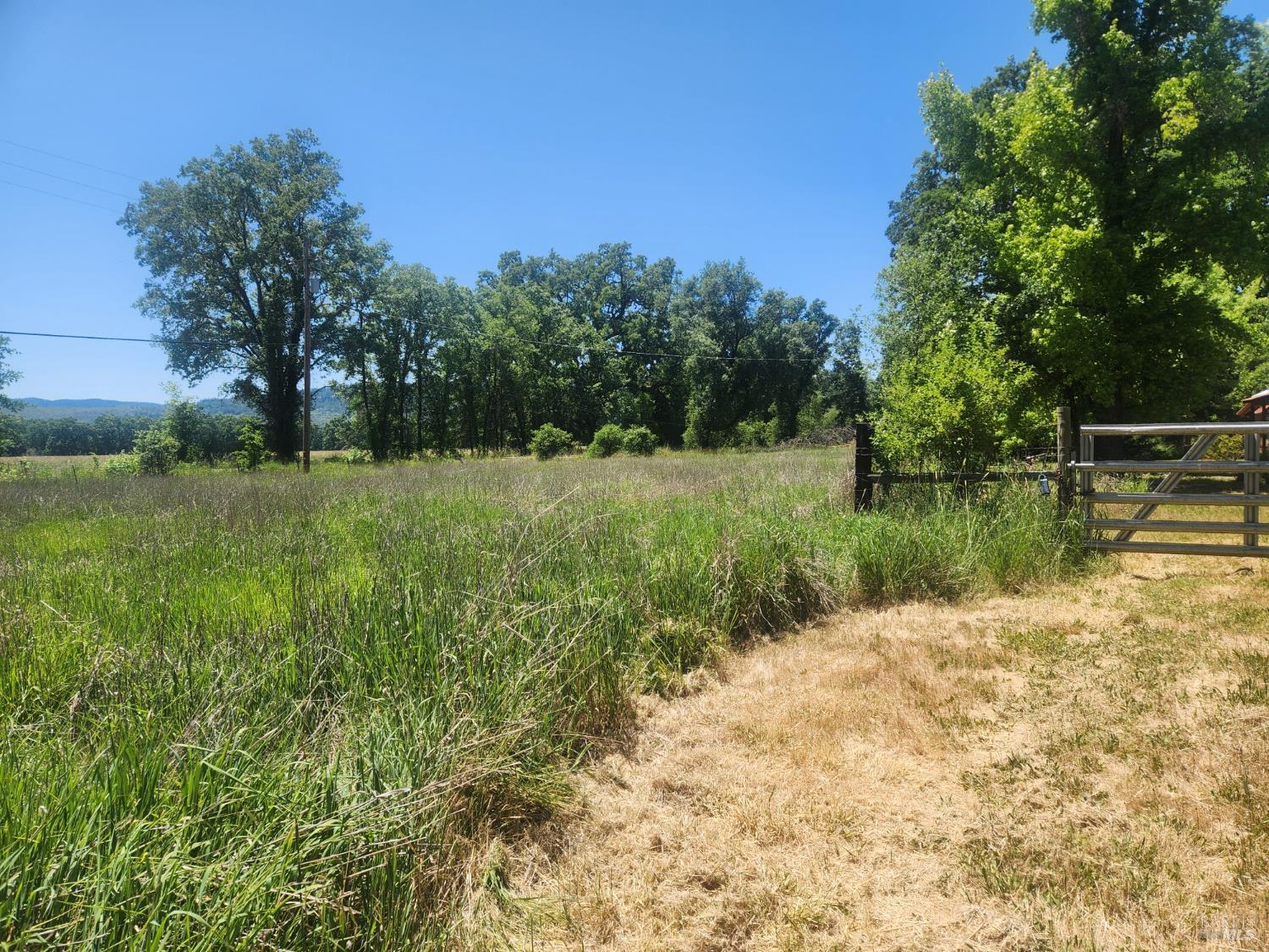 Detail Gallery Image 19 of 21 For 25500 Fairbanks Ln, Covelo,  CA 95428 - 1 Beds | 1 Baths