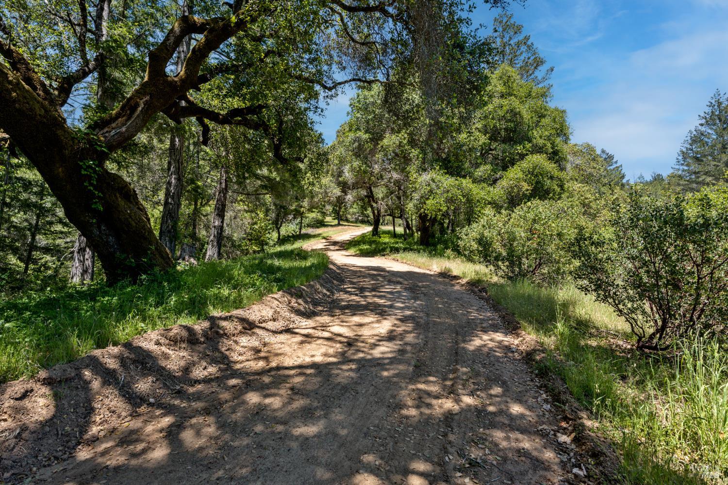 Detail Gallery Image 8 of 19 For 4131 Little Mill Creek Rd, Philo,  CA 95466 - – Beds | – Baths