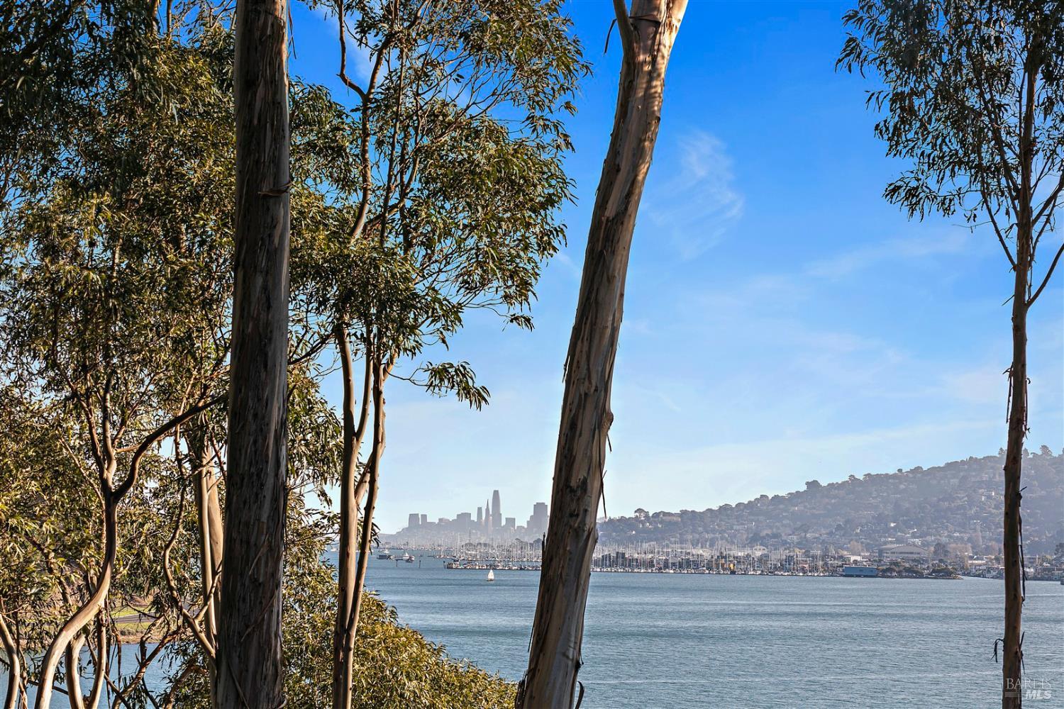 Detail Gallery Image 25 of 33 For 44 De Silva Island Dr, Mill Valley,  CA 94941 - 3 Beds | 2/1 Baths