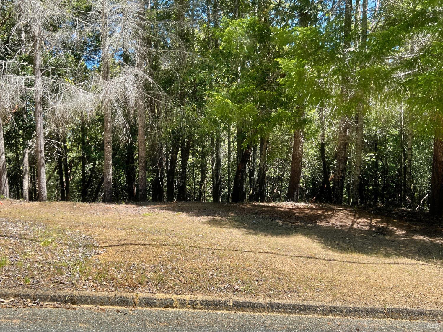 Front Image Thumbnail for BA325048048