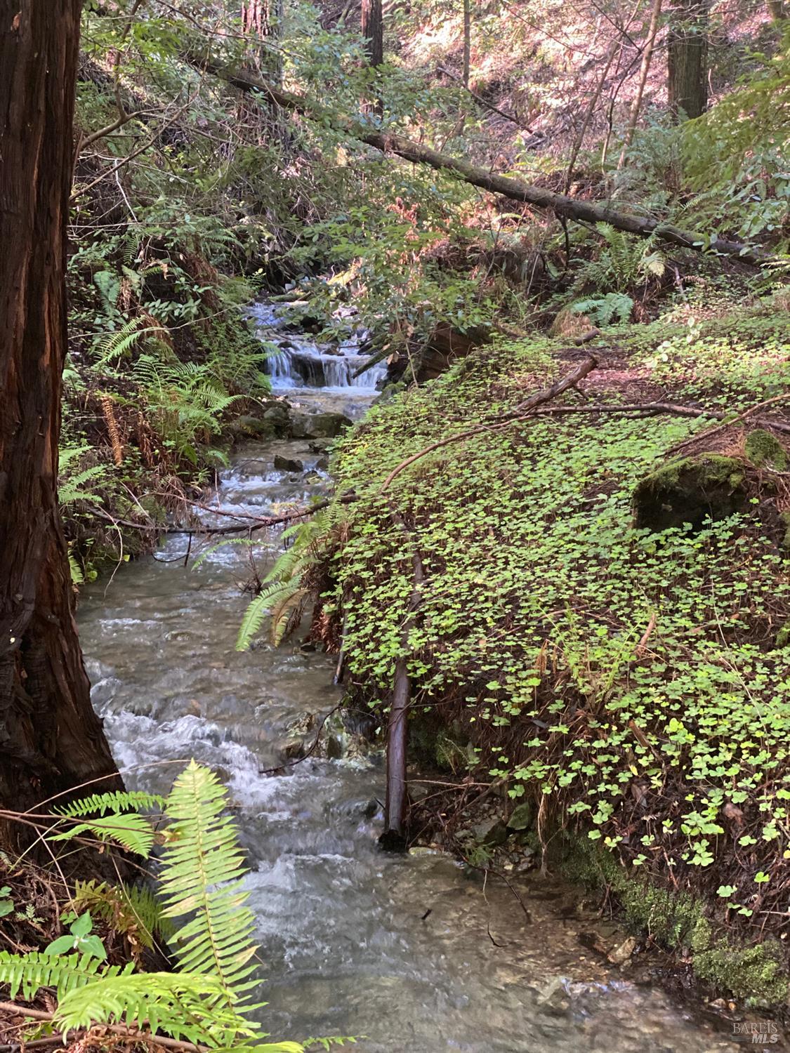 Detail Gallery Image 11 of 15 For 1545 Cazadero Hwy, Cazadero,  CA 95421 - – Beds | – Baths