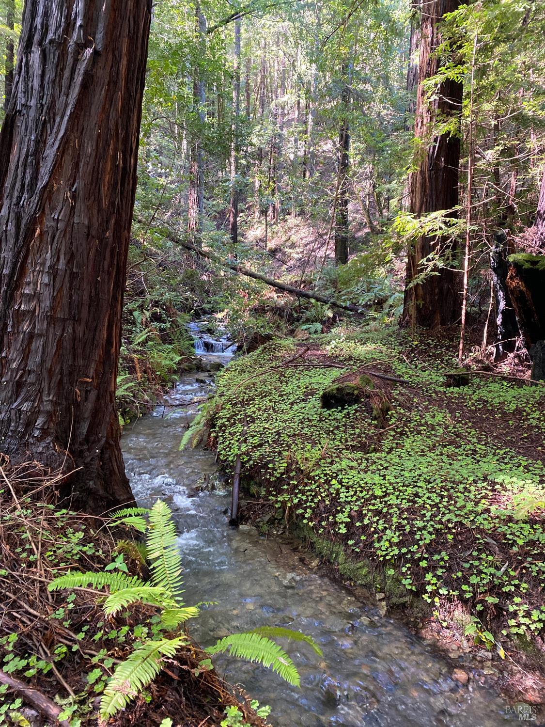 Detail Gallery Image 14 of 15 For 1545 Cazadero Hwy, Cazadero,  CA 95421 - – Beds | – Baths