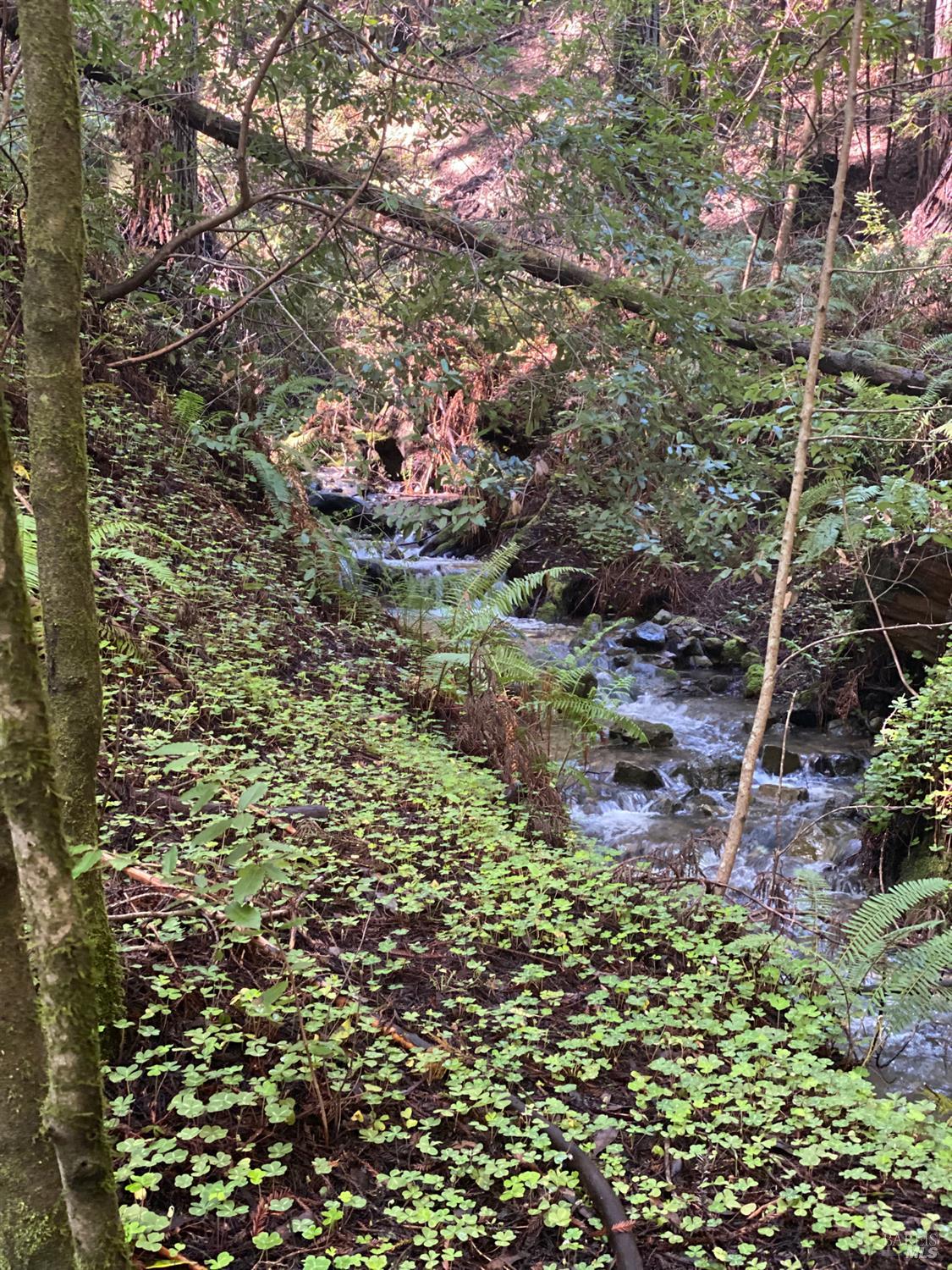 Detail Gallery Image 10 of 15 For 1545 Cazadero Hwy, Cazadero,  CA 95421 - – Beds | – Baths