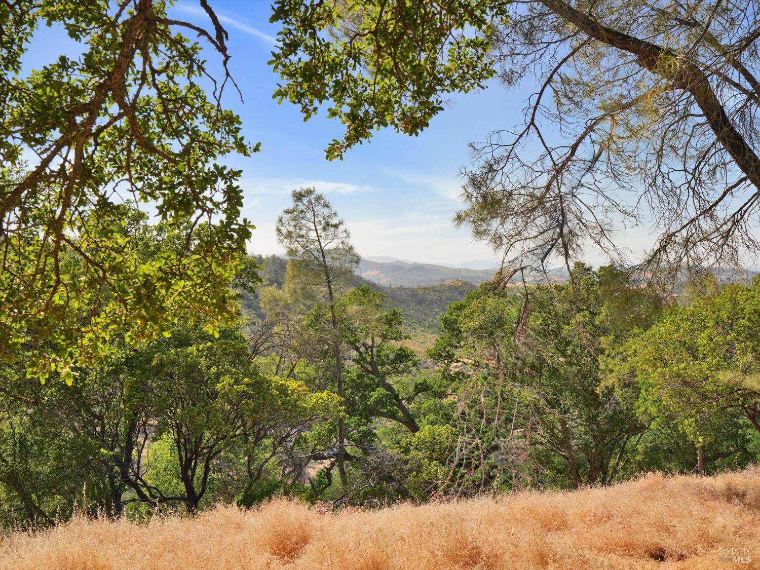 Detail Gallery Image 56 of 58 For 2655 Harness Dr, Pope Valley,  CA 94567 - 4 Beds | 2 Baths
