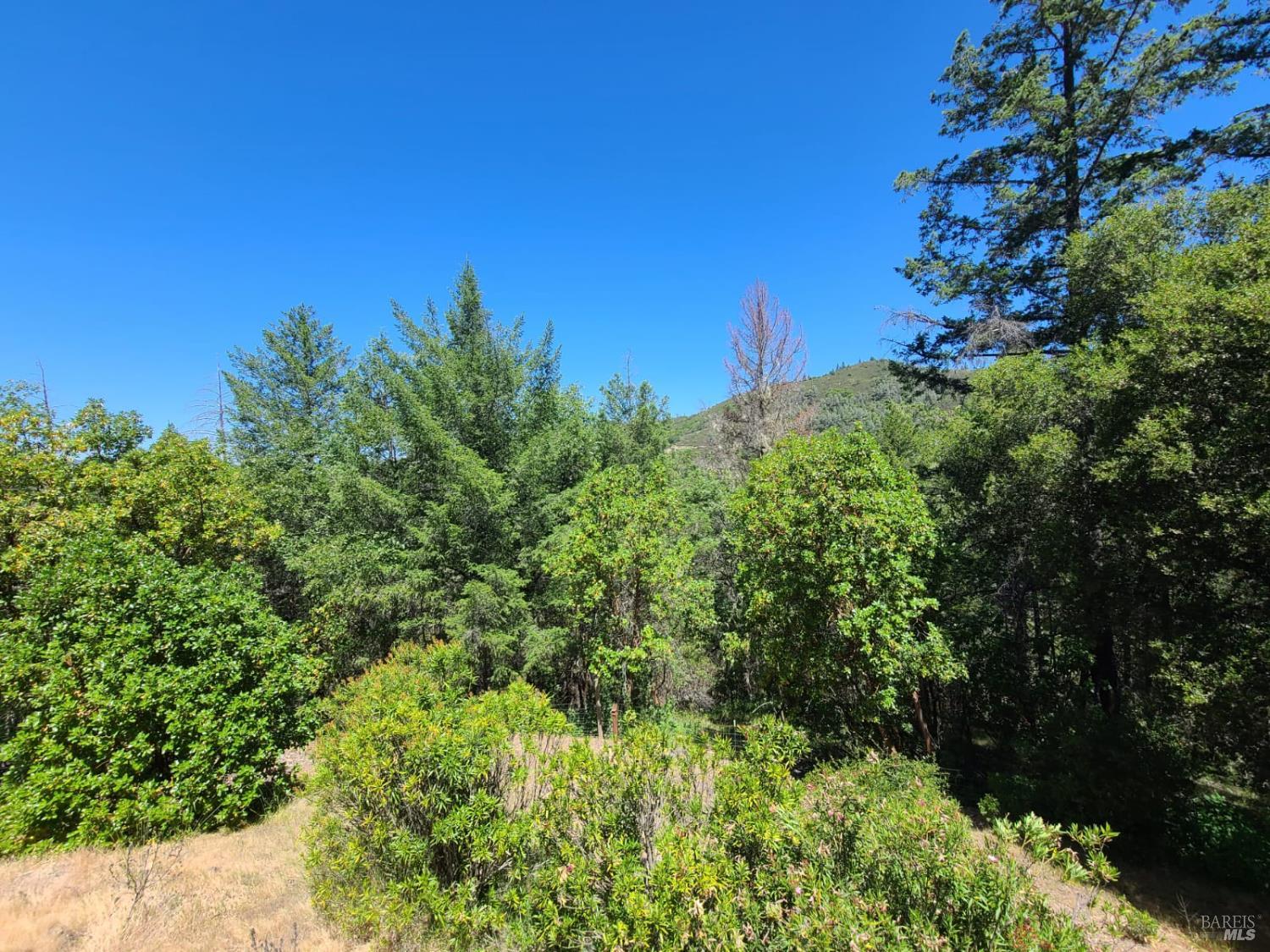 Detail Gallery Image 18 of 27 For 3620 Eel River Ranch Rd, Covelo,  CA 95428 - 2 Beds | 1 Baths