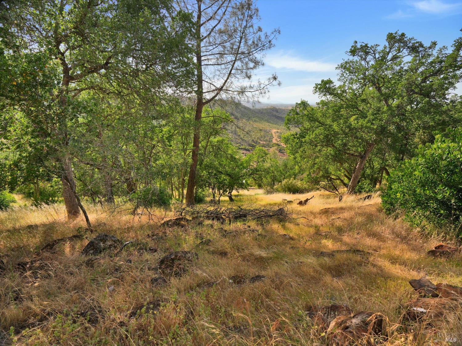 Detail Gallery Image 57 of 58 For 2655 Harness Dr, Pope Valley,  CA 94567 - 4 Beds | 2 Baths