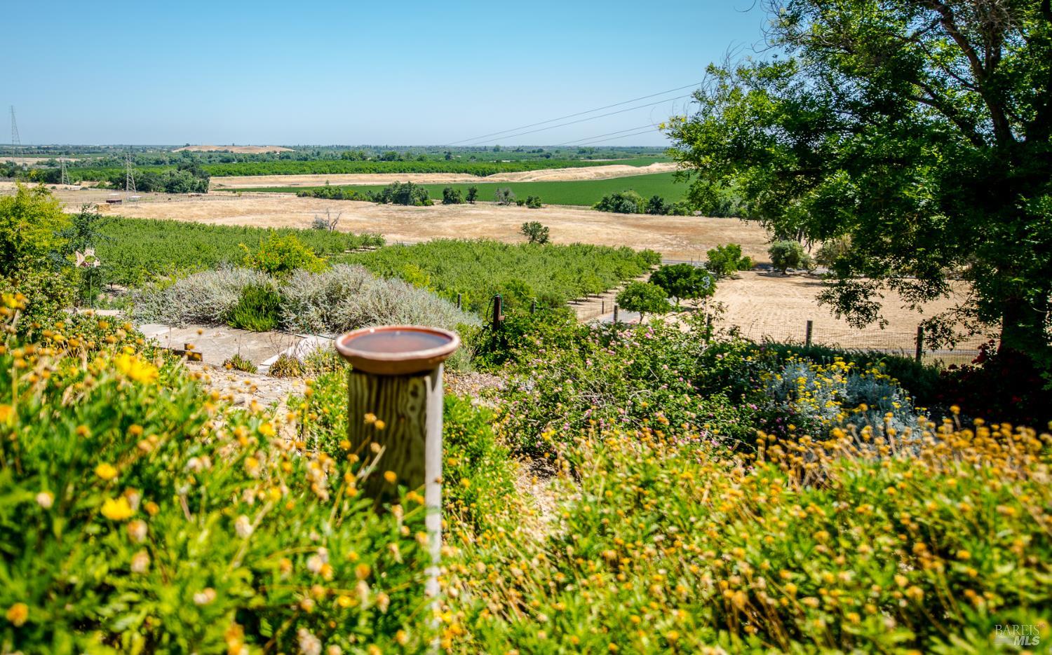 Detail Gallery Image 54 of 67 For 8621 Olive School Ln, Winters,  CA 95694 - 3 Beds | 2 Baths
