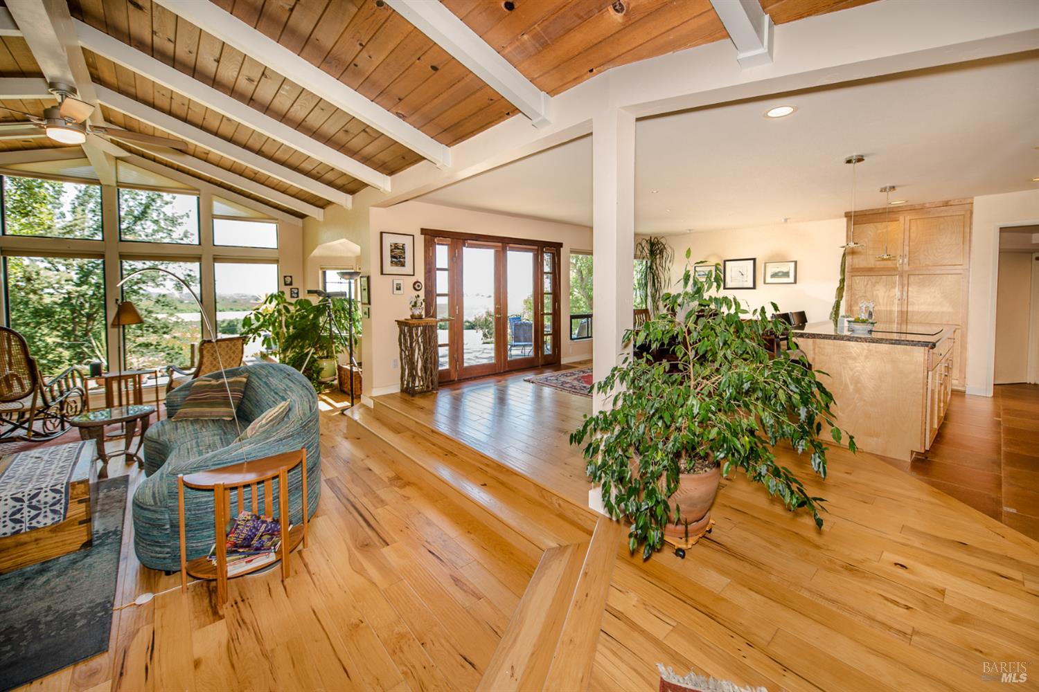 Olive School Lane, Winters, California image 8