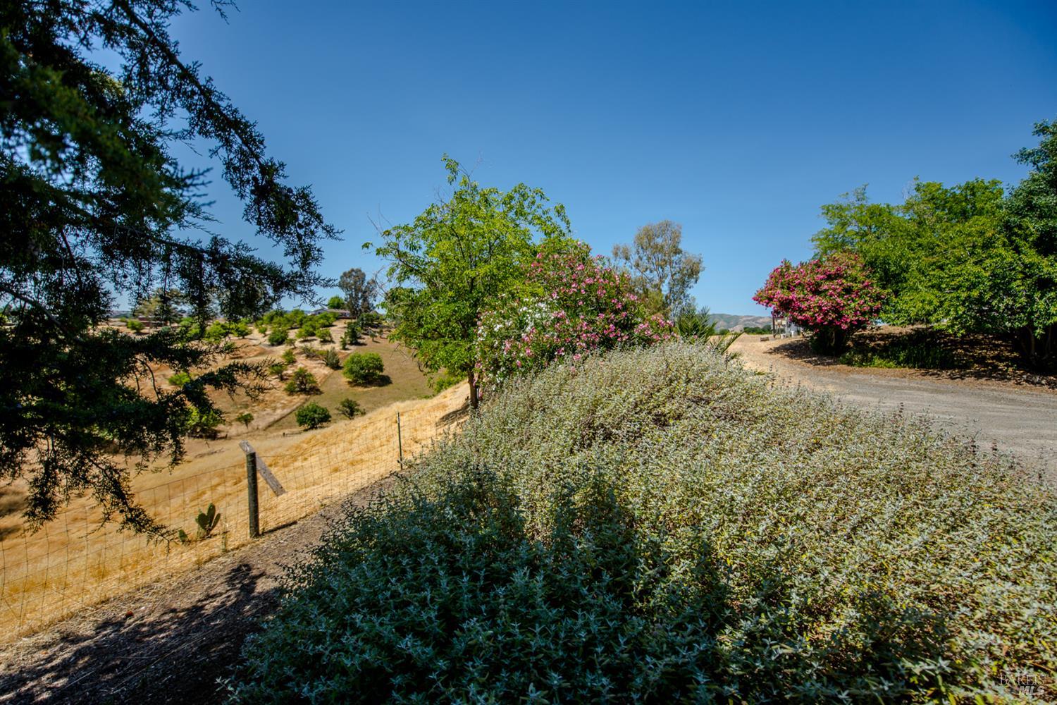 Detail Gallery Image 65 of 67 For 8621 Olive School Ln, Winters,  CA 95694 - 3 Beds | 2 Baths
