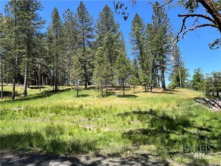 Detail Gallery Image 1 of 1 For 15625 Bottle Rock Rd, Cobb,  CA 95426 - – Beds | – Baths