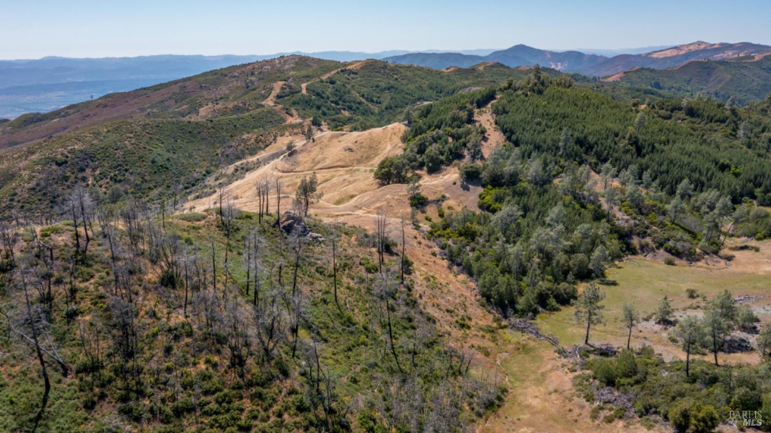 Pine Flat Road, Healdsburg, California image 5