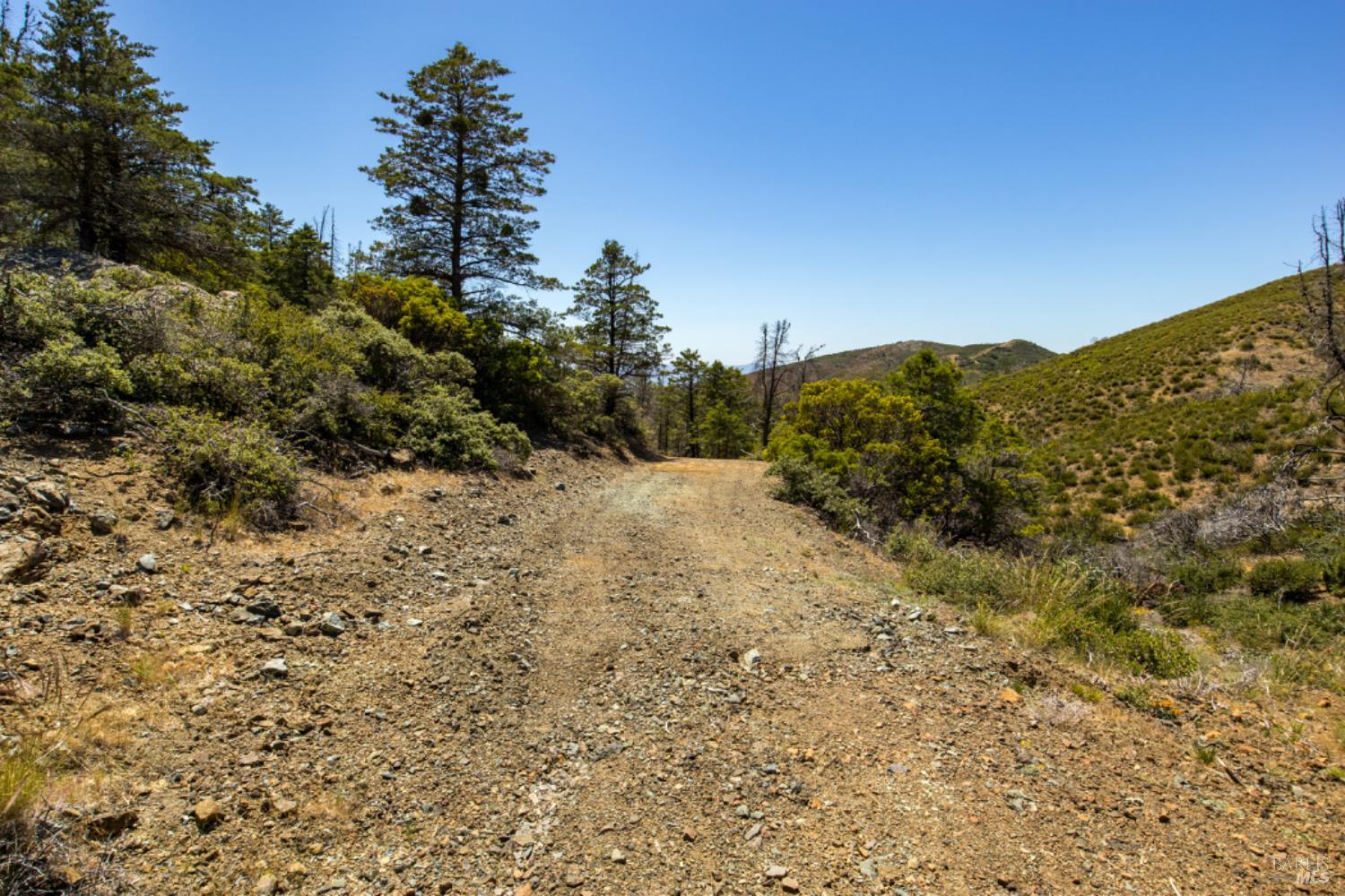 Detail Gallery Image 57 of 59 For 0 Pine Flat Rd, Healdsburg,  CA 94515 - – Beds | – Baths