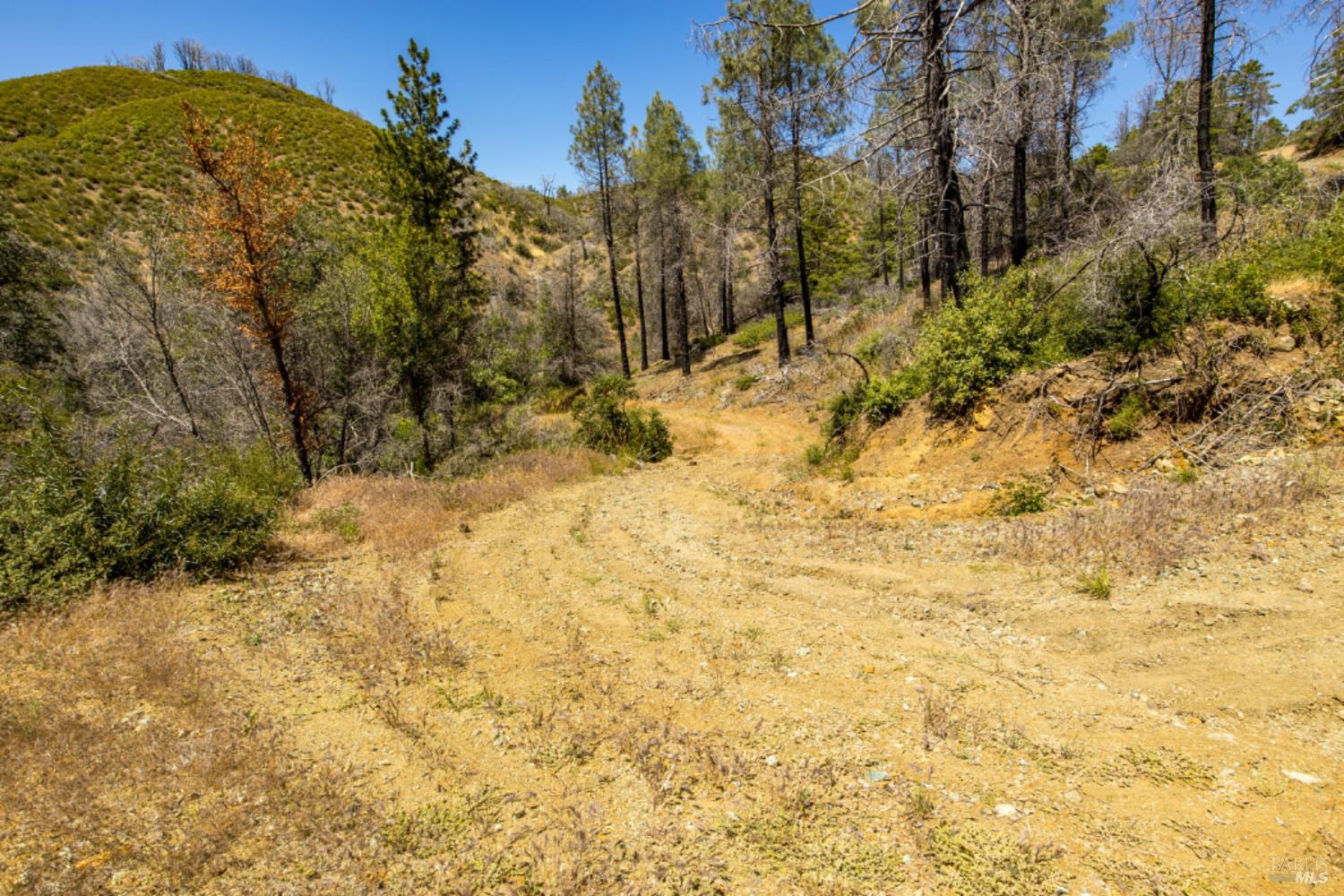 Detail Gallery Image 52 of 59 For 0 Pine Flat Rd, Healdsburg,  CA 94515 - – Beds | – Baths