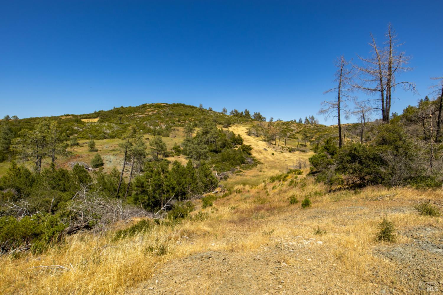 Pine Flat Road, Healdsburg, California image 34