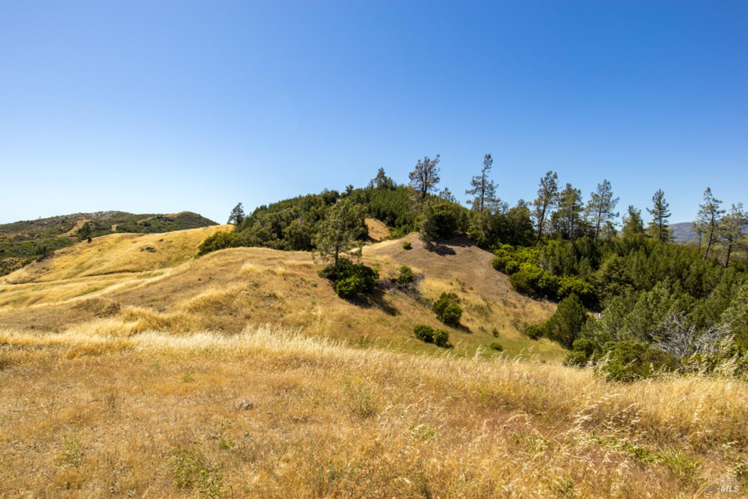 Pine Flat Road, Healdsburg, California image 32