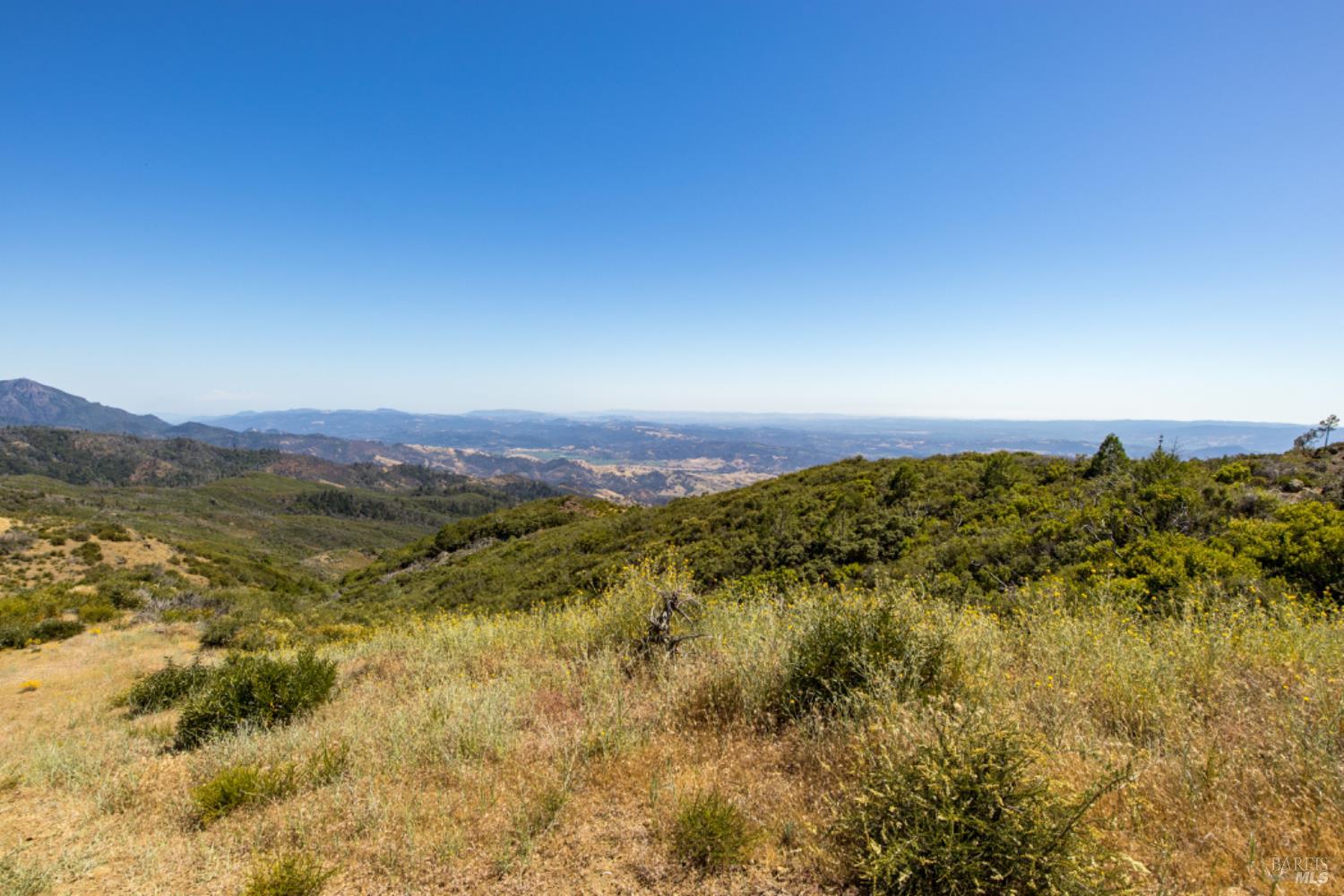 Pine Flat Road, Healdsburg, California image 23