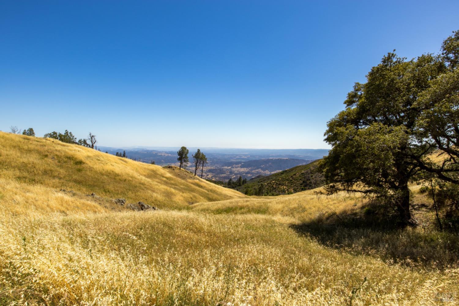 Pine Flat Road, Healdsburg, California image 28