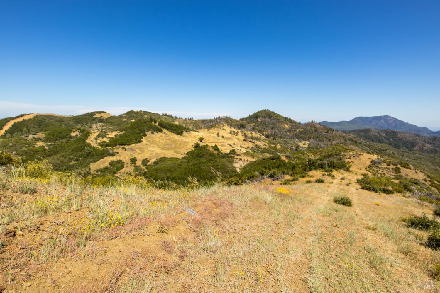 Pine Flat Road, Healdsburg, California image 24