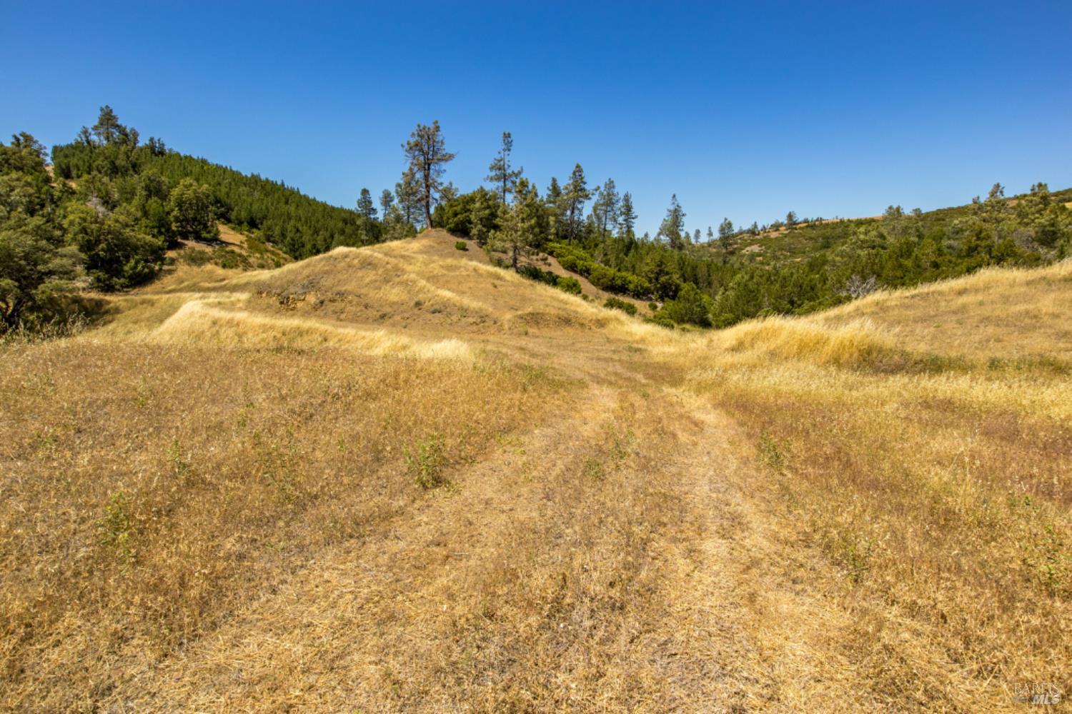 Pine Flat Road, Healdsburg, California image 31