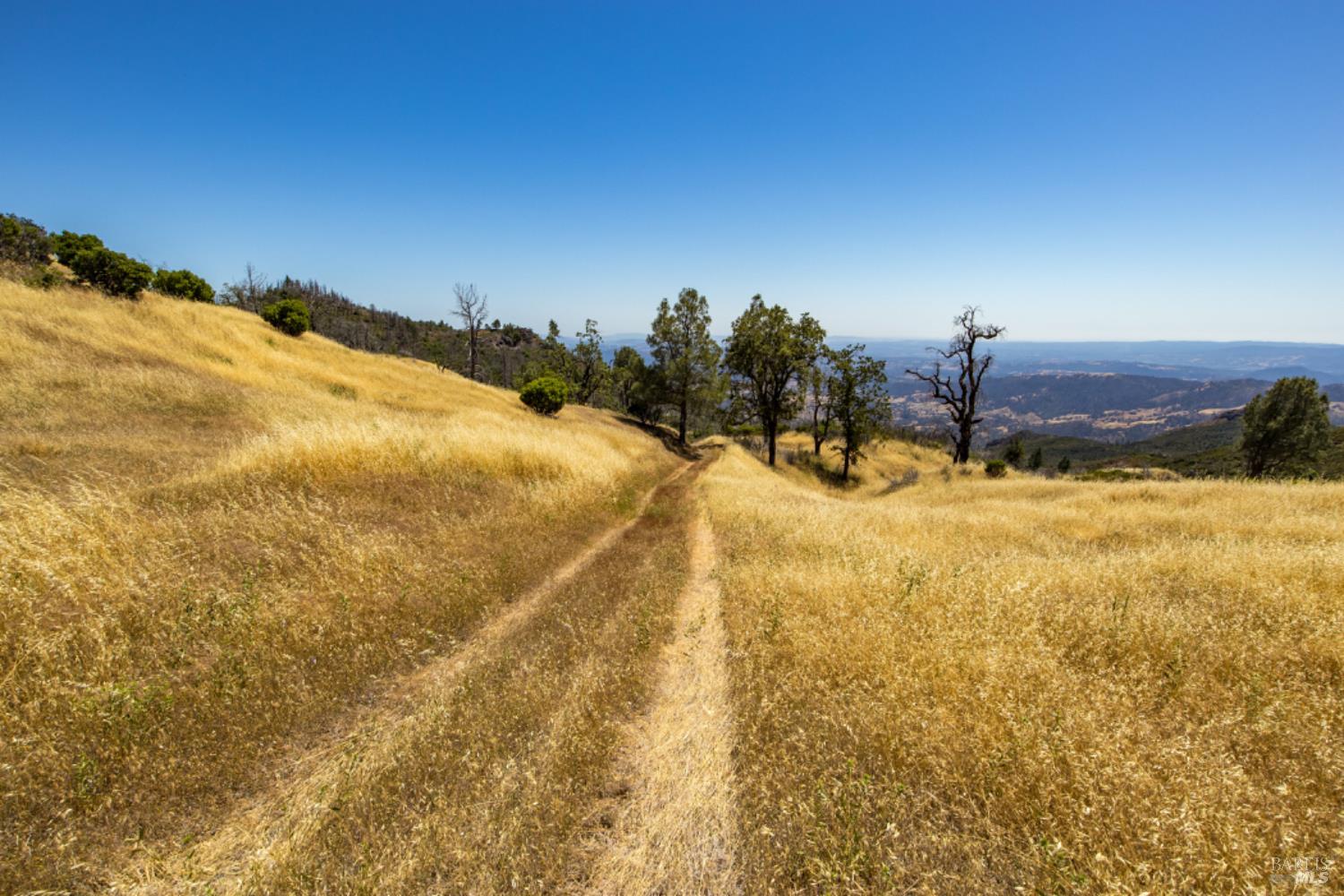 Pine Flat Road, Healdsburg, California image 38