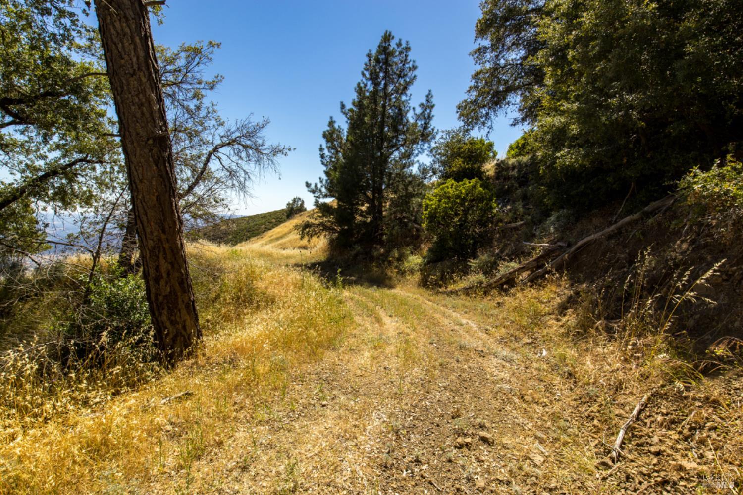 Pine Flat Road, Healdsburg, California image 27