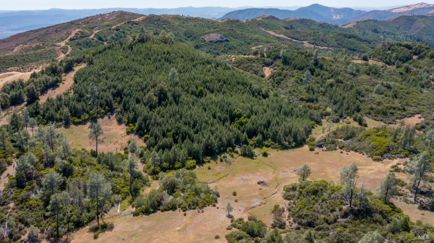 Pine Flat Road, Healdsburg, California image 7