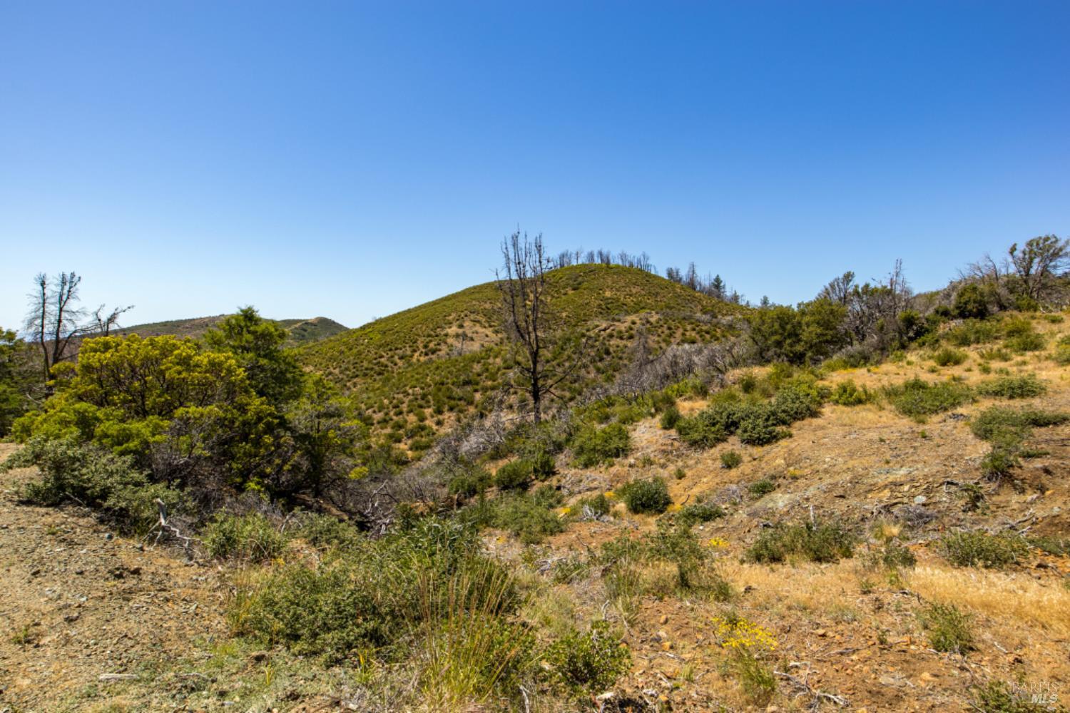 Detail Gallery Image 58 of 59 For 0 Pine Flat Rd, Healdsburg,  CA 94515 - – Beds | – Baths