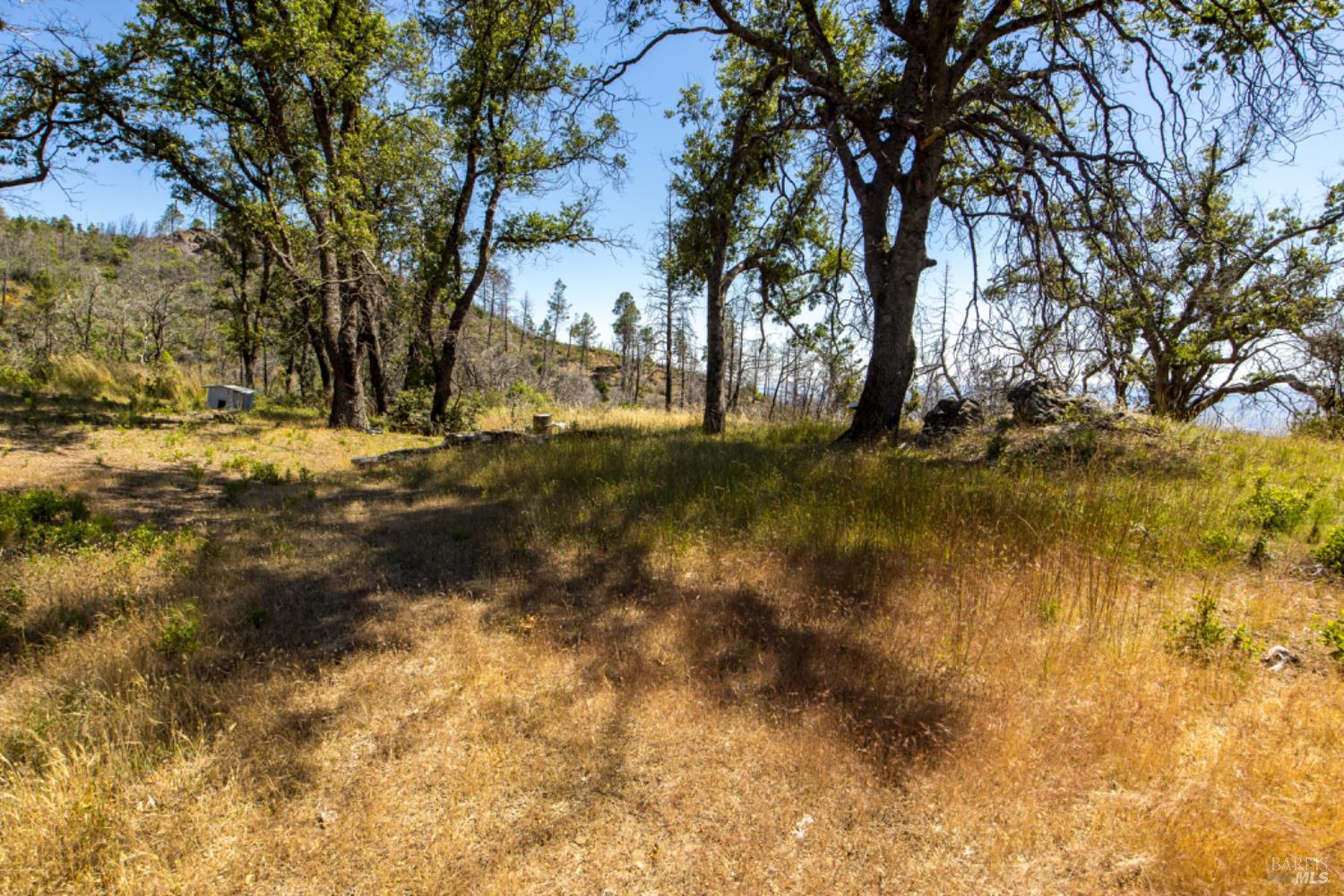 Pine Flat Road, Healdsburg, California image 44