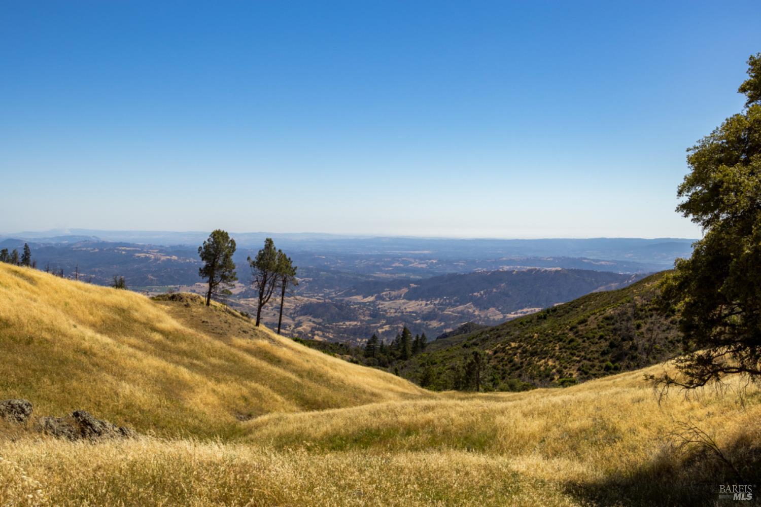 Pine Flat Road, Healdsburg, California image 1