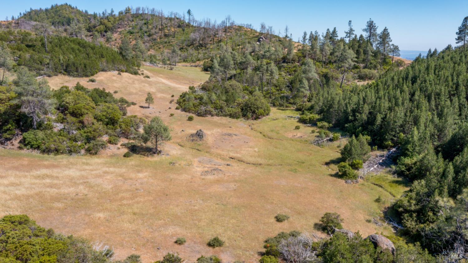 Pine Flat Road, Healdsburg, California image 12